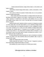 Referāts 'Enerģijas dzērieni', 4.