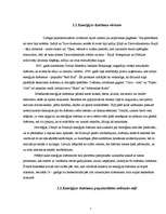 Referāts 'Enerģijas dzērieni', 5.