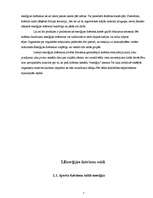 Referāts 'Enerģijas dzērieni', 7.