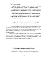 Referāts 'Enerģijas dzērieni', 10.