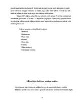 Referāts 'Enerģijas dzērieni', 13.