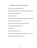 Referāts 'Enerģijas dzērieni', 28.