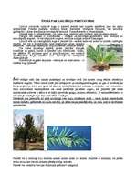 Referāts 'Kailsēkļi', 3.