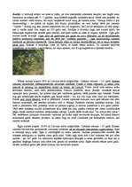 Referāts 'Kailsēkļi', 4.