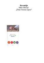 Eseja 'Recenzija Māra Bērziņa darbam "Ērika Trauma sapnis"', 1.