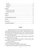 Diplomdarbs 'Zīmju valodas tulka lomas, pienākumu un darbības analīze Rīgas Raiņa 8.vakara (m', 5.