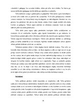 Diplomdarbs 'Zīmju valodas tulka lomas, pienākumu un darbības analīze Rīgas Raiņa 8.vakara (m', 10.