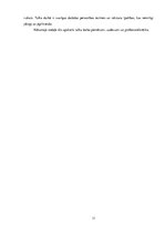 Diplomdarbs 'Zīmju valodas tulka lomas, pienākumu un darbības analīze Rīgas Raiņa 8.vakara (m', 11.