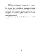 Diplomdarbs 'Zīmju valodas tulka lomas, pienākumu un darbības analīze Rīgas Raiņa 8.vakara (m', 20.