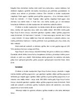 Diplomdarbs 'Zīmju valodas tulka lomas, pienākumu un darbības analīze Rīgas Raiņa 8.vakara (m', 22.