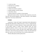 Diplomdarbs 'Zīmju valodas tulka lomas, pienākumu un darbības analīze Rīgas Raiņa 8.vakara (m', 27.