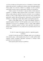 Diplomdarbs 'Zīmju valodas tulka lomas, pienākumu un darbības analīze Rīgas Raiņa 8.vakara (m', 40.