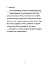 Referāts 'Enerģijas dzērienu lietošanas izplatība populācijā', 13.