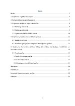 Prakses atskaite 'SIA SIA "Rizikas group"', 2.