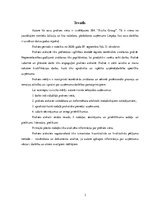 Prakses atskaite 'SIA SIA "Rizikas group"', 3.