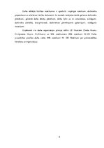 Prakses atskaite 'SIA SIA "Rizikas group"', 6.