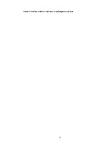 Prakses atskaite 'SIA SIA "Rizikas group"', 13.