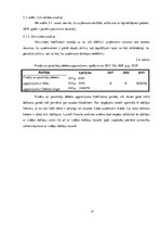 Prakses atskaite 'SIA SIA "Rizikas group"', 17.