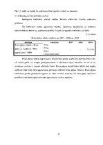 Prakses atskaite 'SIA SIA "Rizikas group"', 23.