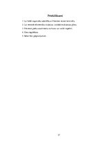 Prakses atskaite 'SIA SIA "Rizikas group"', 27.