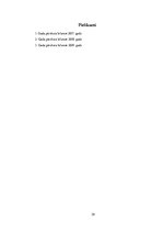 Prakses atskaite 'SIA SIA "Rizikas group"', 29.