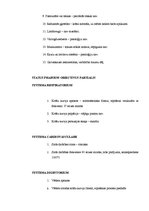 Paraugs 'Pacienta slimības vēsture. Migrēna', 5.