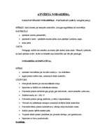 Konspekts 'Atvērtās nodarbības plānojums', 1.