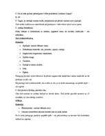 Konspekts 'Atvērtās nodarbības plānojums', 3.