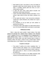 Referāts 'Vīrusu hepatīts B', 4.