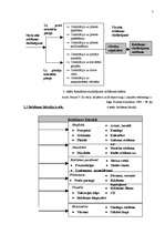 Referāts 'Reklāmas kampaņu organizācijas teorētiskie un praktiskie aspekti', 7.