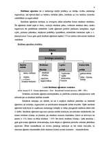 Referāts 'Reklāmas kampaņu organizācijas teorētiskie un praktiskie aspekti', 9.