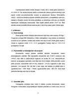 Diplomdarbs 'Būvmateriālu veikals - noliktava', 11.