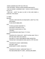 Diplomdarbs 'Būvmateriālu veikals - noliktava', 13.