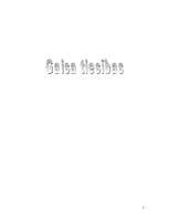 Konspekts 'Gaisa tiesības', 1.