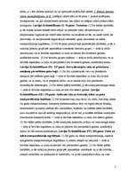 Konspekts 'Gaisa tiesības', 5.