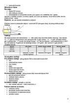 Konspekts 'Makroekonomika', 13.