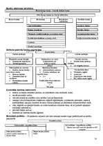 Konspekts 'Makroekonomika', 24.