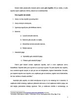 Konspekts 'Pašu kapitāls', 3.