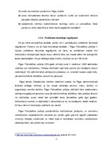 Referāts 'Pašvaldības policija, tās vēsture, struktūra, galvenie uzdevumi un problēmas tie', 11.