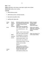 Prakses atskaite 'Aktīvā mācību prakse sākumskolā', 24.