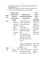 Prakses atskaite 'Aktīvā mācību prakse sākumskolā', 28.