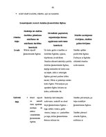 Prakses atskaite 'Aktīvā mācību prakse sākumskolā', 40.