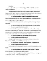 Prakses atskaite 'Aktīvā mācību prakse sākumskolā', 42.