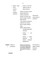 Prakses atskaite 'Aktīvā mācību prakse sākumskolā', 45.