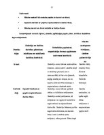 Prakses atskaite 'Aktīvā mācību prakse sākumskolā', 53.