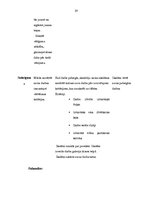 Prakses atskaite 'Aktīvā mācību prakse sākumskolā', 59.