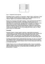 Referāts 'OSI etalonu modelis', 9.