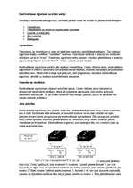 Referāts 'OSI etalonu modelis', 11.