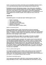 Referāts 'OSI etalonu modelis', 12.