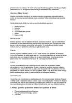 Referāts 'OSI etalonu modelis', 14.